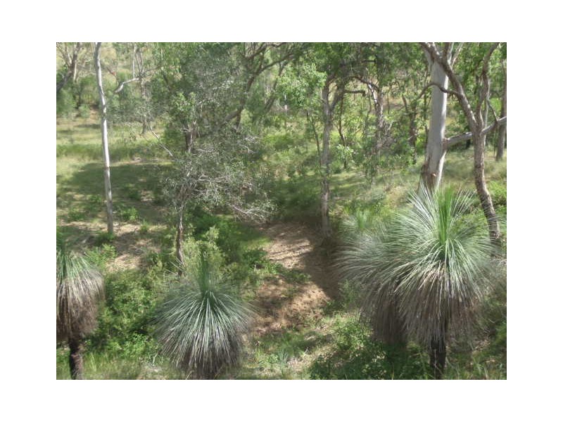 464/Lot 464 Nukku North Road, Taromeo QLD 4306