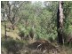 464/Lot 464 Nukku North Road, Taromeo QLD 4306