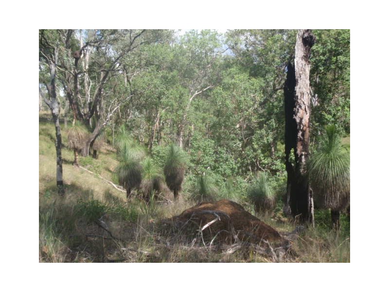 464/Lot 464 Nukku North Road, Taromeo QLD 4306