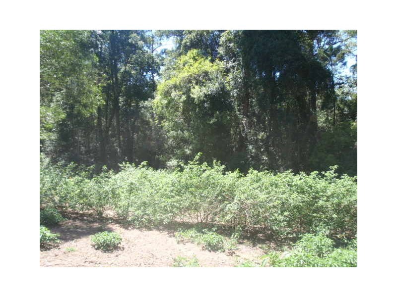 2  VALLEY ROAD, Blackbutt QLD 4306