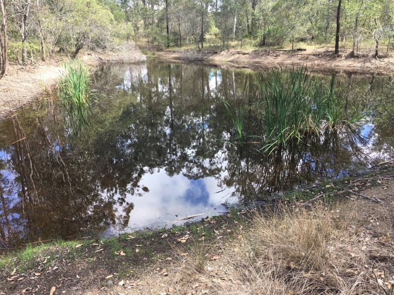 171/Lot 171 David Road, Taromeo QLD 4306