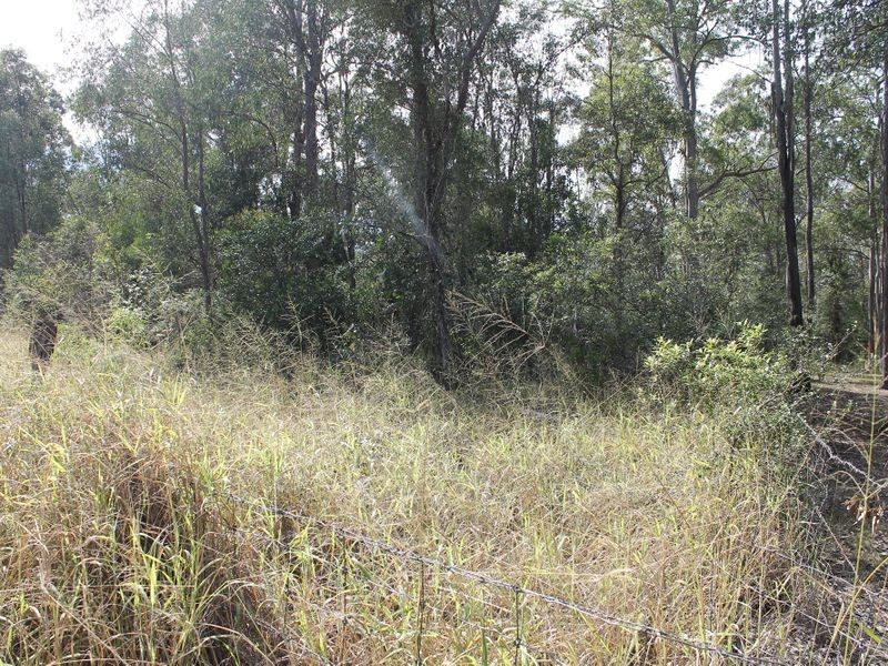 171/Lot 171 David Road, Taromeo QLD 4306
