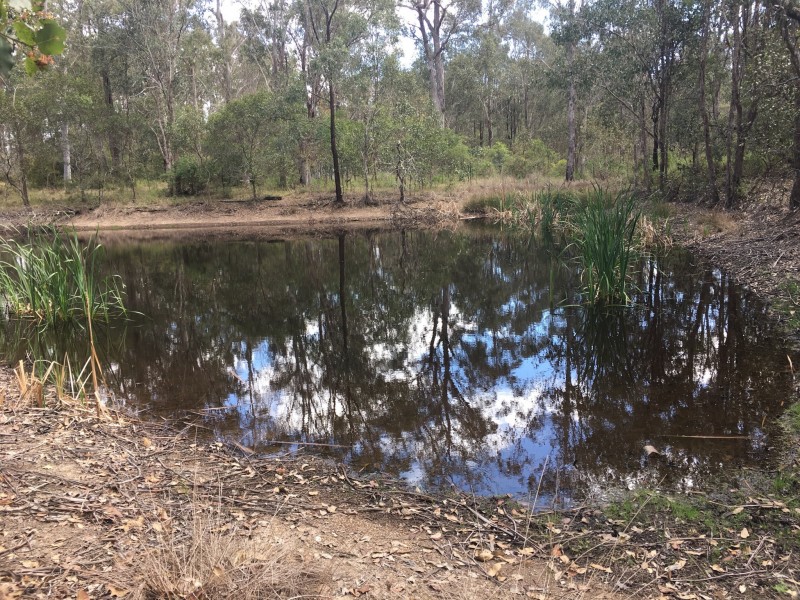 171/Lot 171 David Road, Taromeo QLD 4306