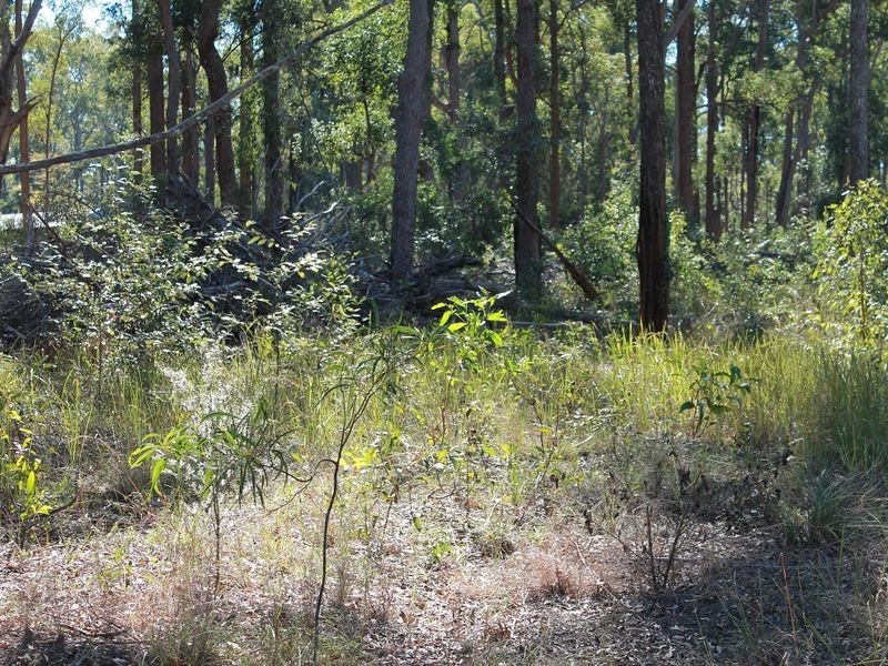 35/Lot 35 Packer Road, Blackbutt QLD 4306