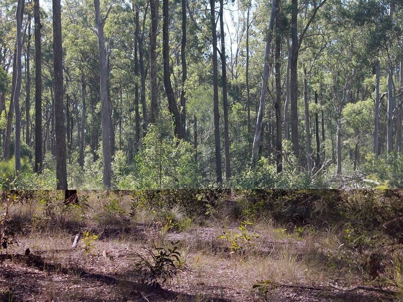 35/Lot 35 Packer Road, Blackbutt QLD 4306