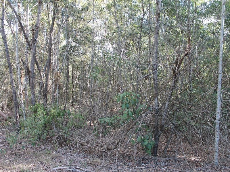 88/Lot 88 Bradley Road, Benarkin QLD 4306