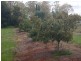 64 Brett Road, Blackbutt QLD 4306