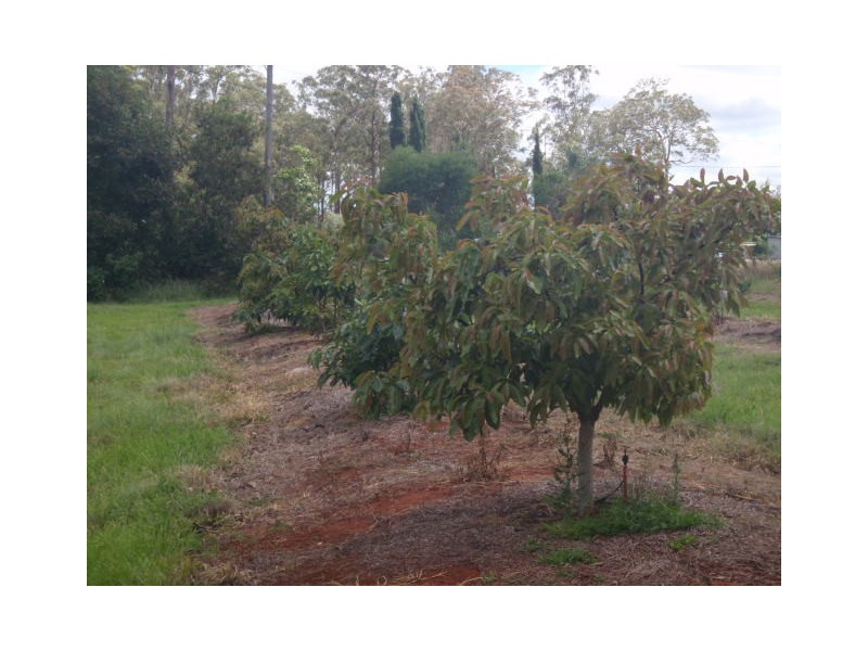 64 Brett Road, Blackbutt QLD 4306