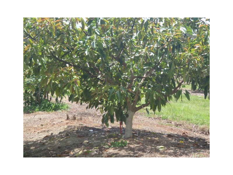 64 Brett Road, Blackbutt QLD 4306