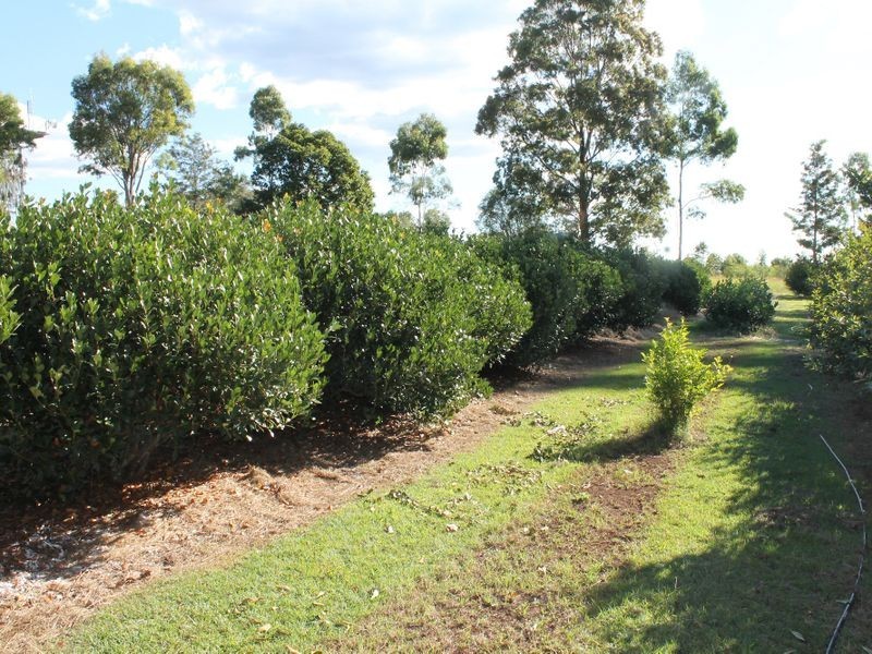 36 RESERVOIR SERVICE ROAD, Blackbutt QLD 4306