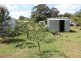 Blackbutt QLD 4306