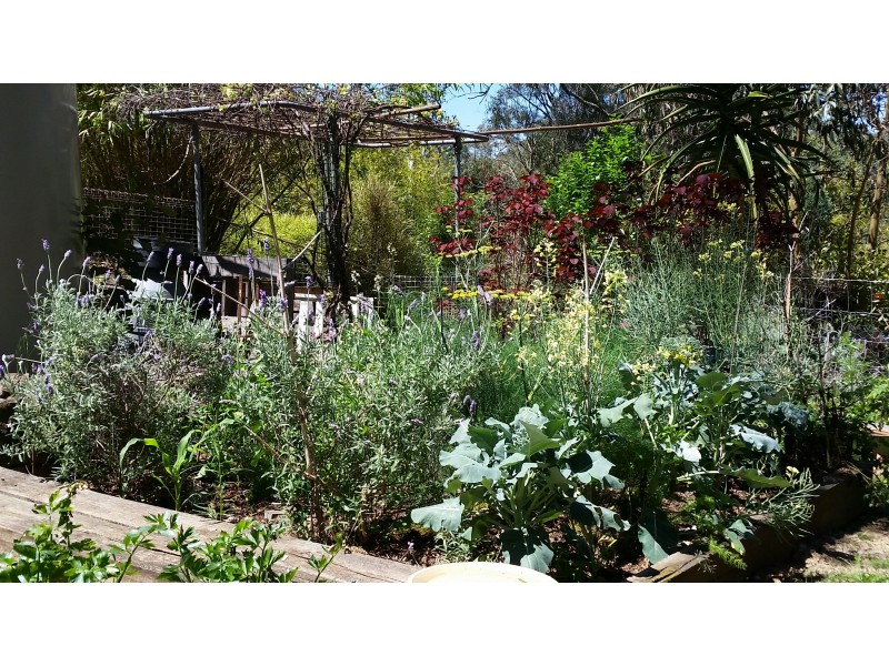 2A Millar Street, Yarraman QLD 4614