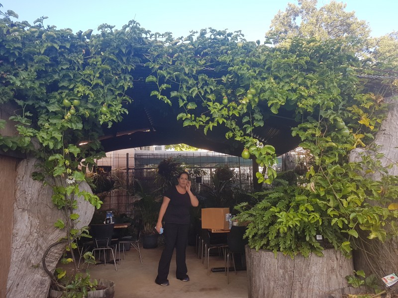 39 Coulson Street, Blackbutt QLD 4306