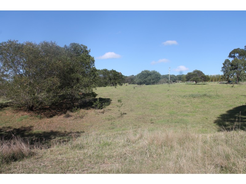 LOT 64 DAVID ROAD, Taromeo QLD 4306
