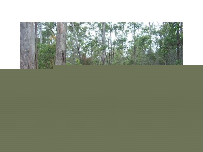 167 Old Esk Road Taromeo, Taromeo QLD 4306