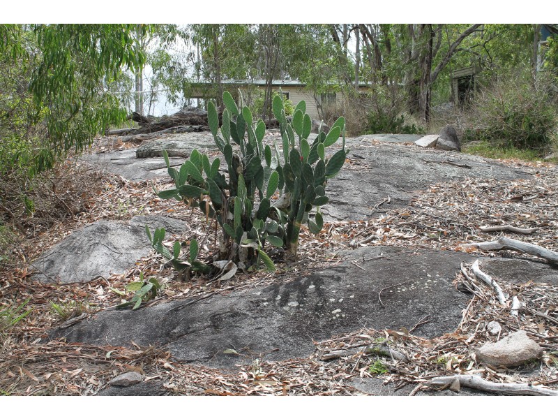 101 Maidenwell Upper Yarraman Road, Maidenwell QLD 4615