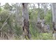101 Maidenwell Upper Yarraman Road, Maidenwell QLD 4615