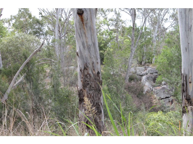 101 Maidenwell Upper Yarraman Road, Maidenwell QLD 4615