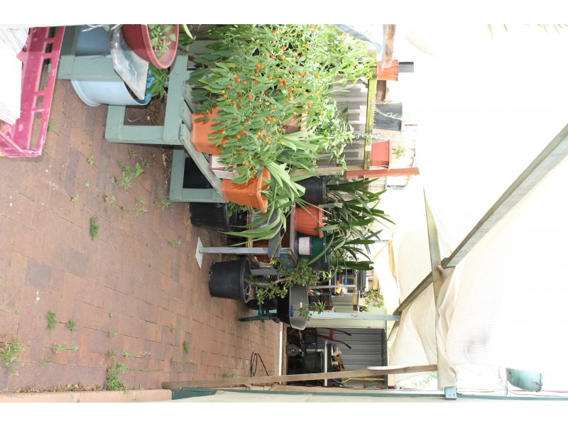 1 Miller Street, Blackbutt QLD 4306