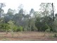 11 Gibson Road, Benarkin QLD 4306
