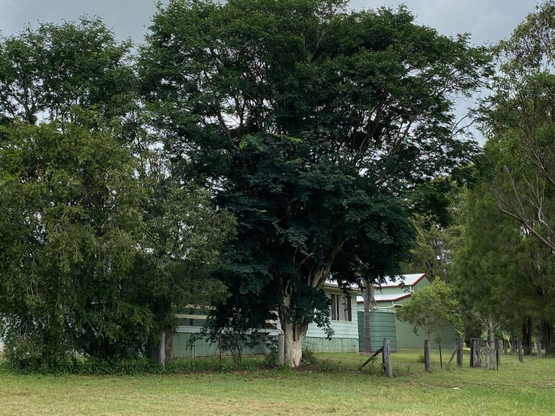 39 Janice Court, Blackbutt QLD 4306