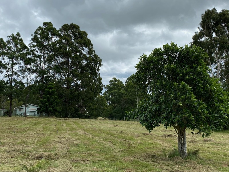 39 Janice Court, Blackbutt QLD 4306