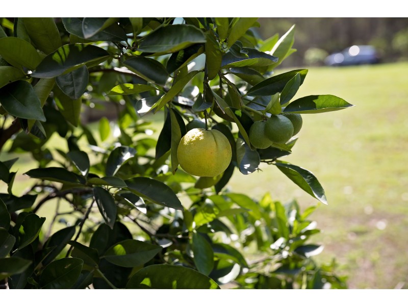 56 Gibson road, Benarkin North QLD 4306