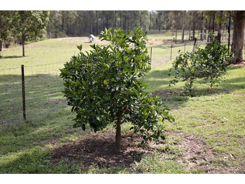 56 Gibson road, Benarkin North QLD 4306