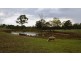 103 SUTHERLAND DRIVE, Blackbutt QLD 4306