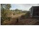103 SUTHERLAND DRIVE, Blackbutt QLD 4306