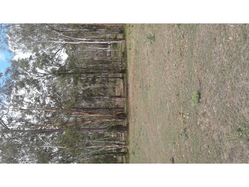 164 Packer Road, Blackbutt North QLD 4306