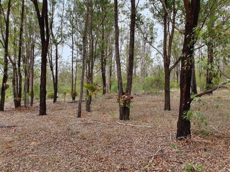 2 TAROMEO COURT, Blackbutt North QLD 4306