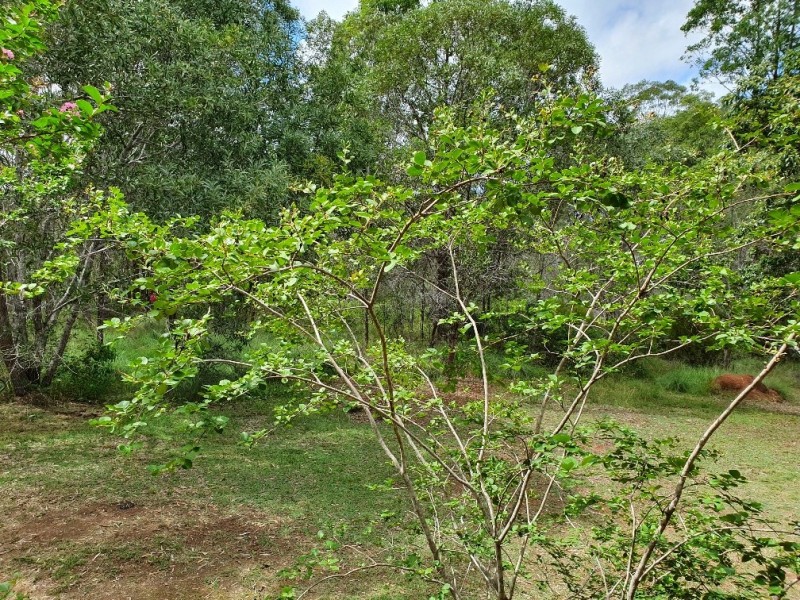 112 Anita Road, Blackbutt QLD 4306