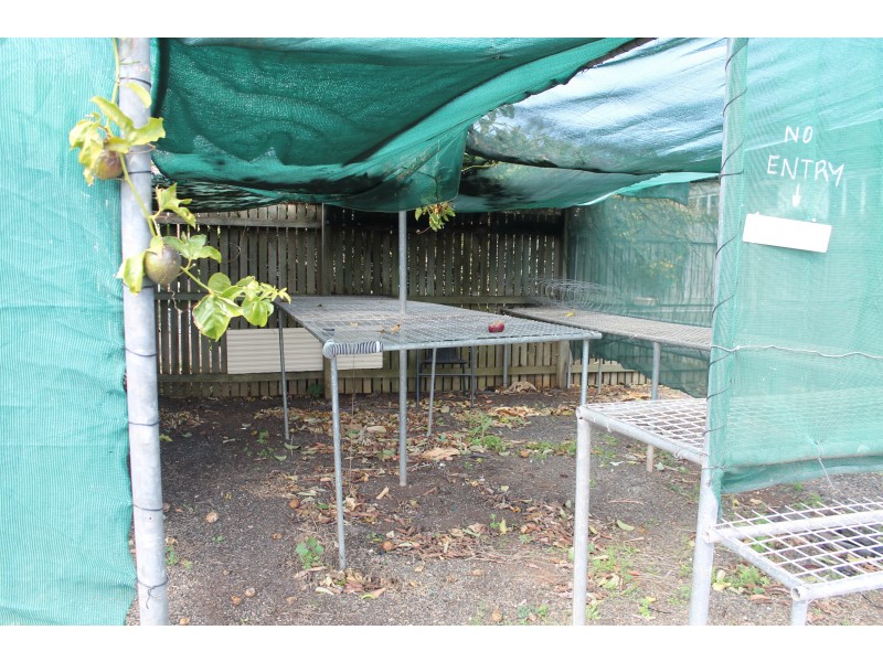 60 Coulson Street, Blackbutt QLD 4306