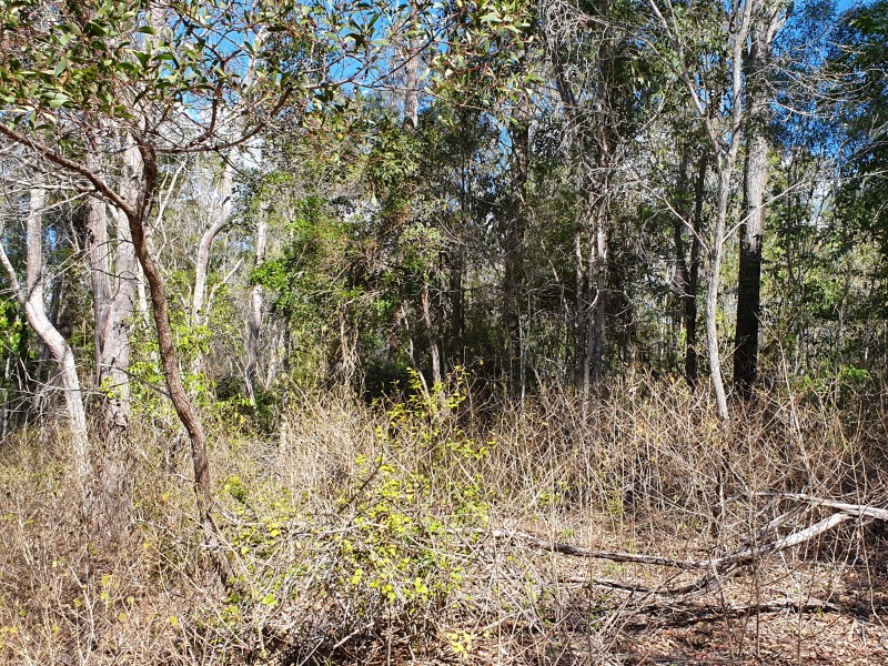 162 Hardgrave Road, Benarkin QLD 4306