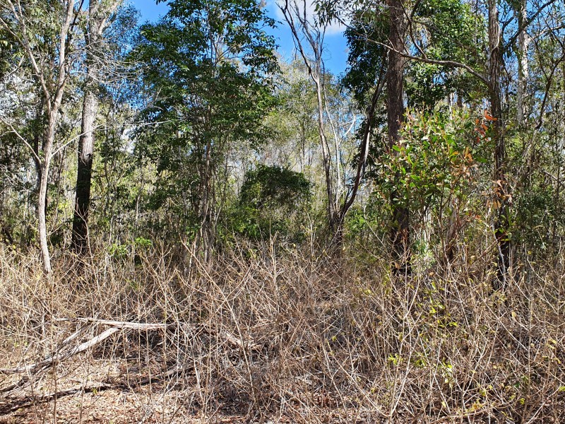 162 Hardgrave Road, Benarkin QLD 4306