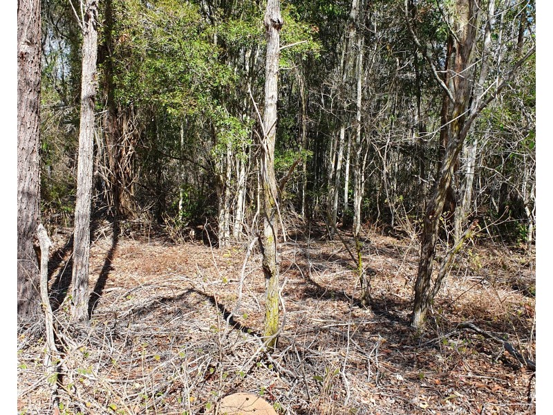 161 Hardgrave Road, Benarkin QLD 4306