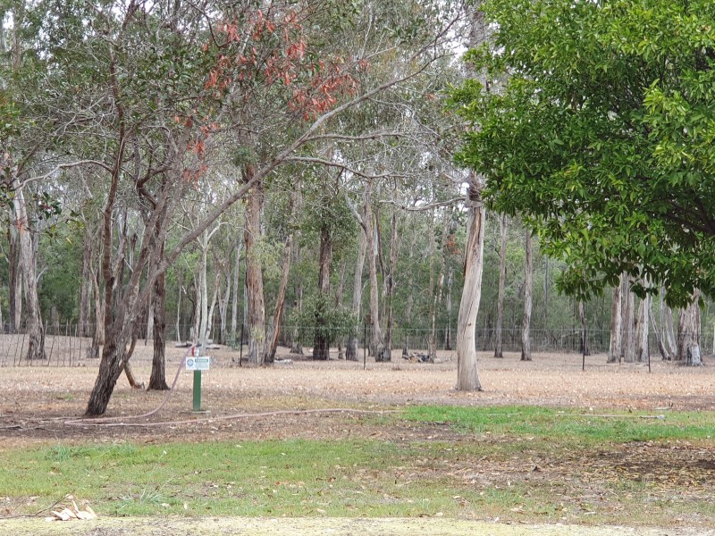 142 FRANKS ROAD, Blackbutt QLD 4306