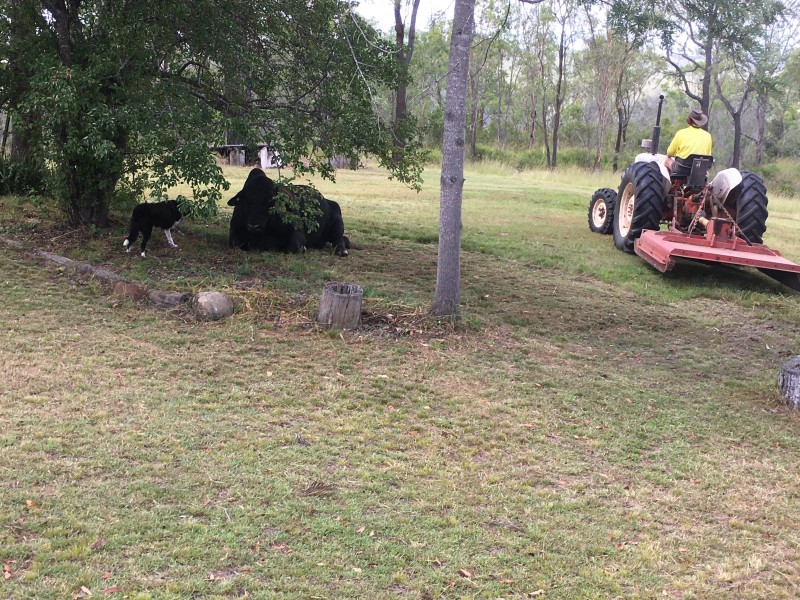 348 Dyer Road, Googa Creek QLD, Australia 4314, Googa Creek QLD 4306