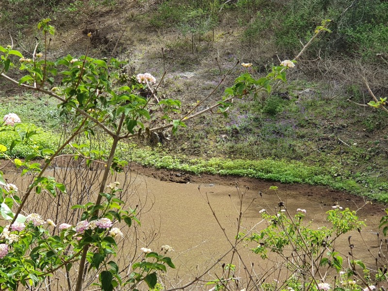 348 Dyer Road, Googa Creek QLD, Australia 4314, Googa Creek QLD 4306