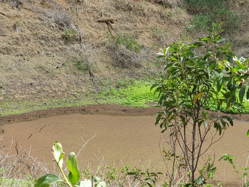 348 Dyer Road, Googa Creek QLD, Australia 4314, Googa Creek QLD 4306