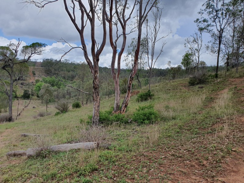 67 HARPER ROAD, Blackbutt QLD 4306