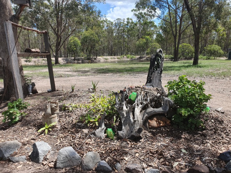 1 TAROMEO RISE, Taromeo QLD 4306