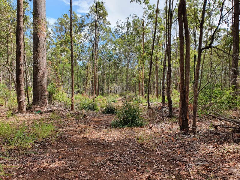 29 Martin Cresent, Benarkin QLD 4306