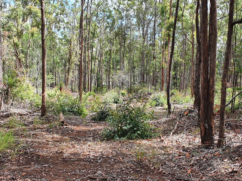 29 Martin Cresent, Benarkin QLD 4306