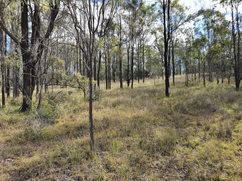 36 Cooyar-Rangemore Road, Cooyar QLD 4402