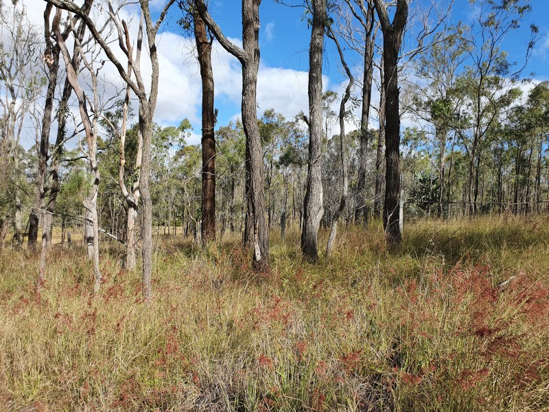 36 Cooyar-Rangemore Road, Cooyar QLD 4402