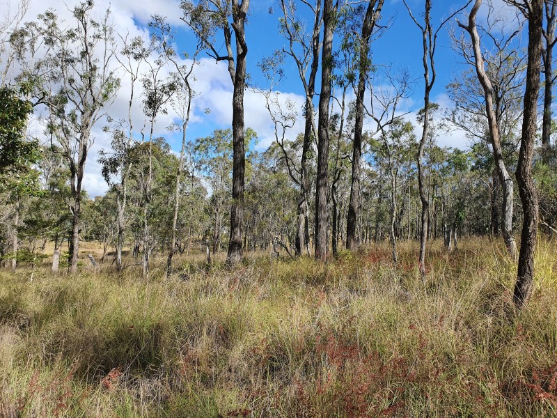 36 Cooyar-Rangemore Road, Cooyar QLD 4402