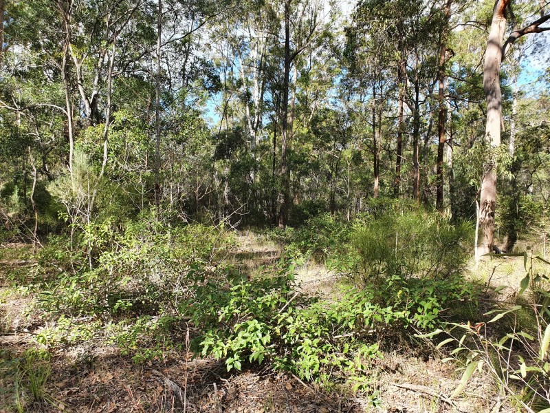 53 PACKER ROAD, Blackbutt QLD 4306