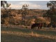 195 Wild Deer Drive, Blackbutt QLD 4306